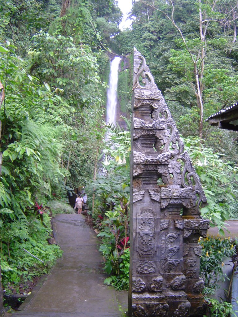 Path leading to the waterfall by apanpapan