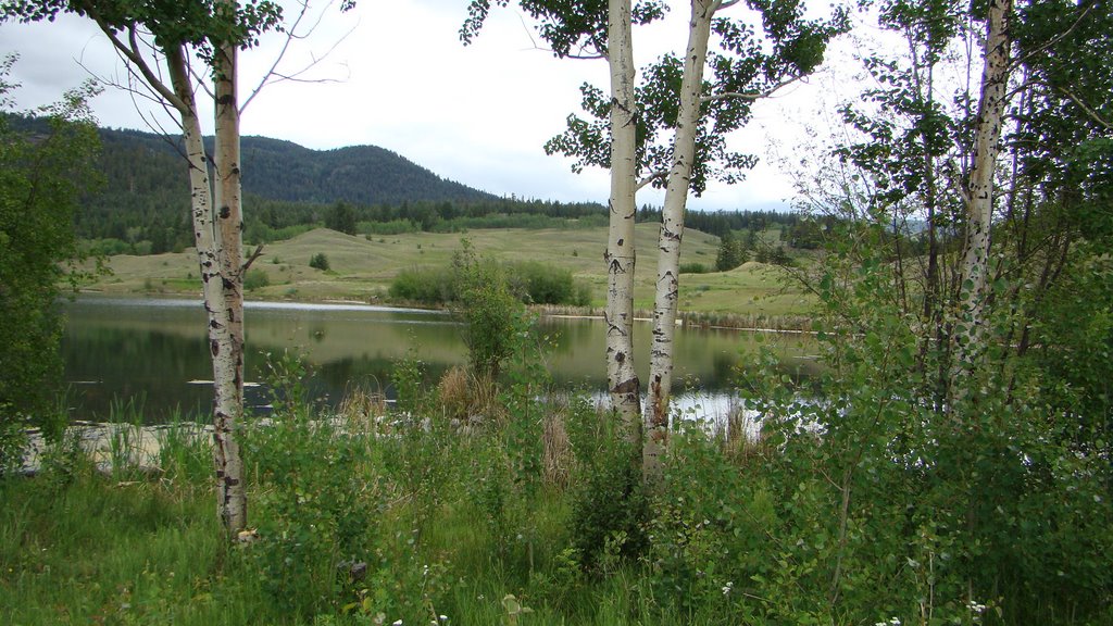 Lac Du Bois by Cal Kimola Brown