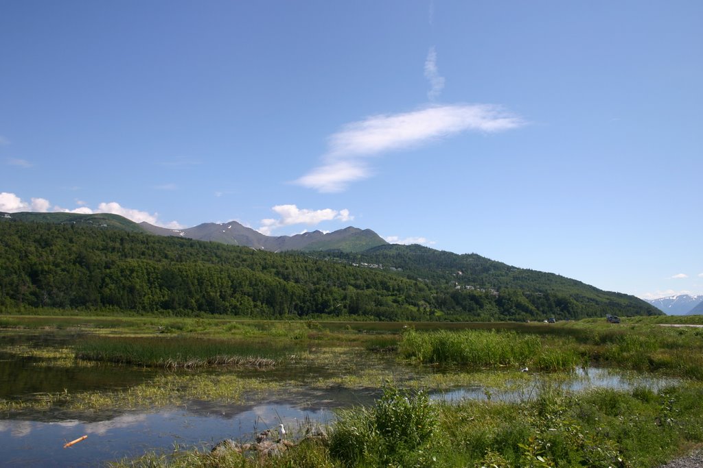 Potter Marsh- summer 2006 by kokodoc