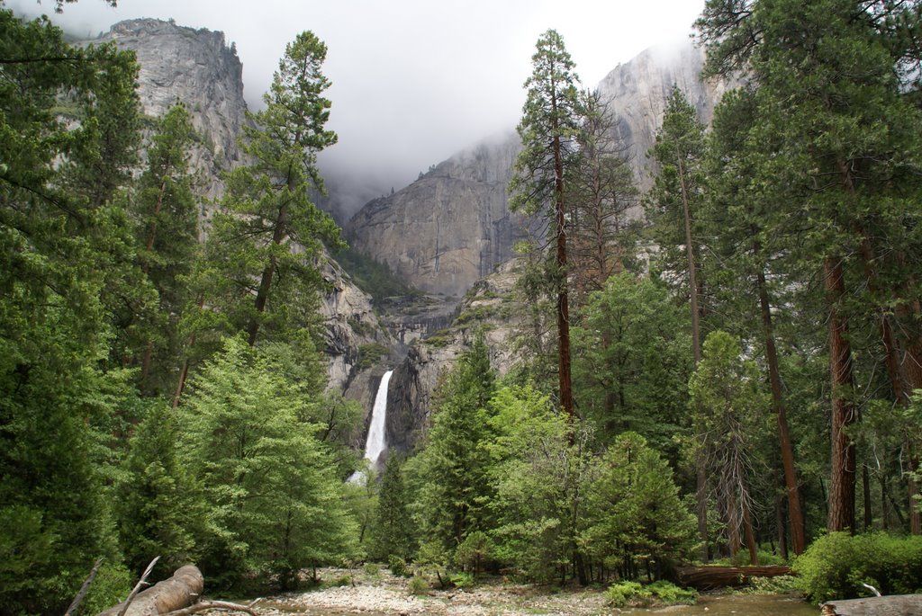 Lower Yosemite Falls in the June Gloom, 2009 by Peter & Shelly