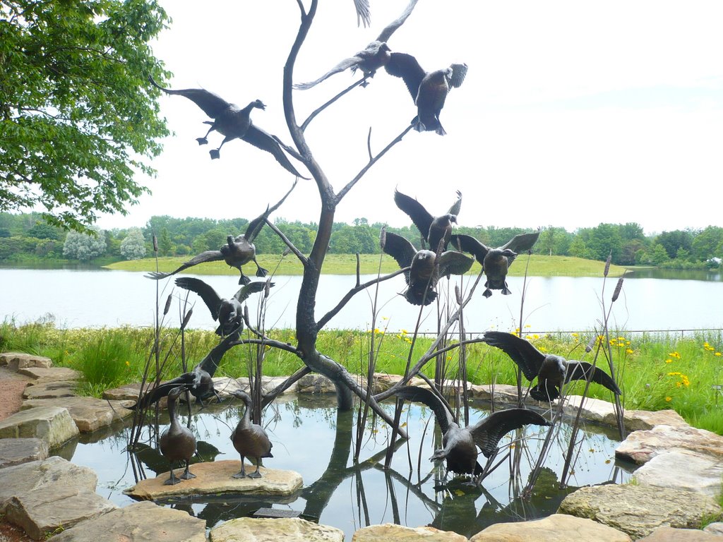 Estatua de patos en vuelo by Saul Flores