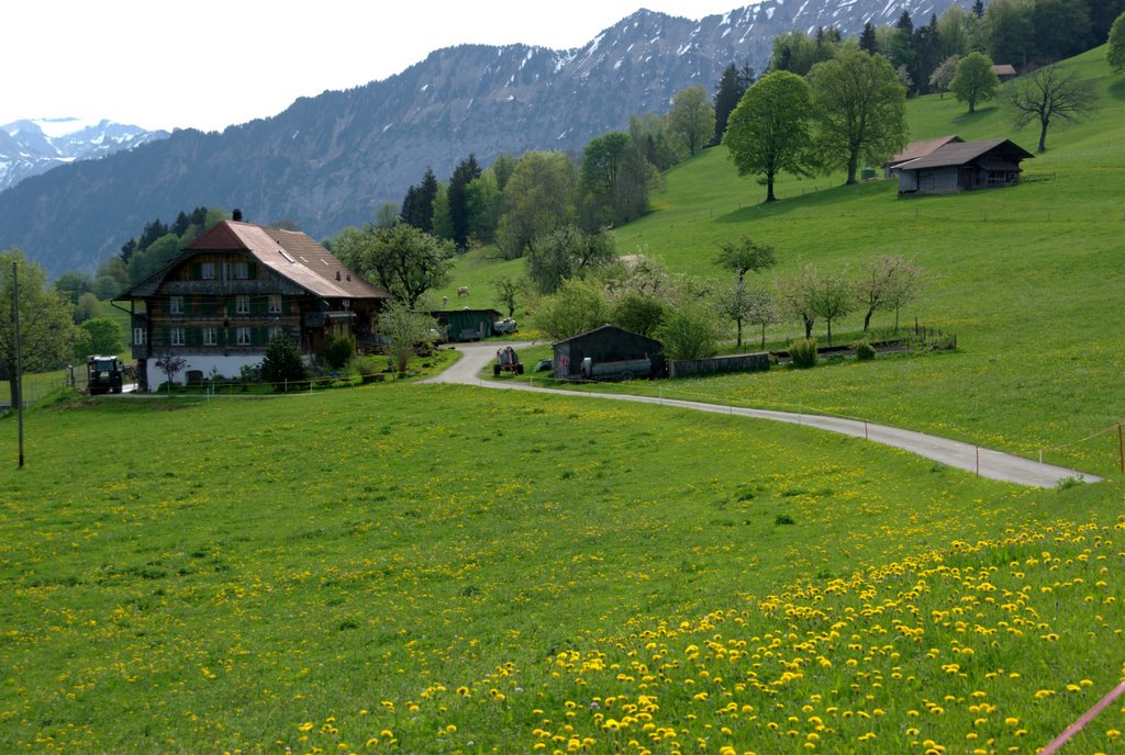 Campagne de l'oberland by yralim