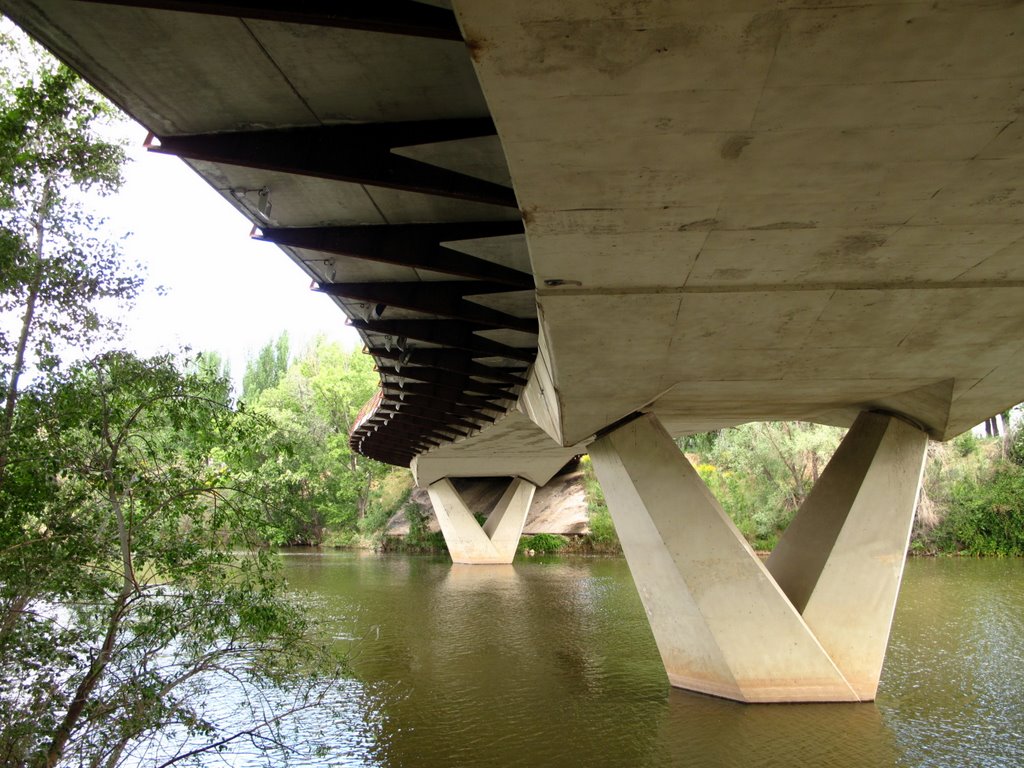 Puente Condesa Eylo. by ALFONSO.