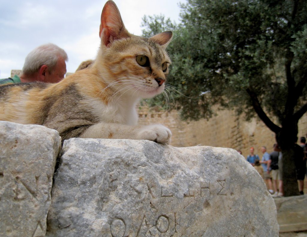 Greece Rhodes|Grecja Rodos Lindos by slomski