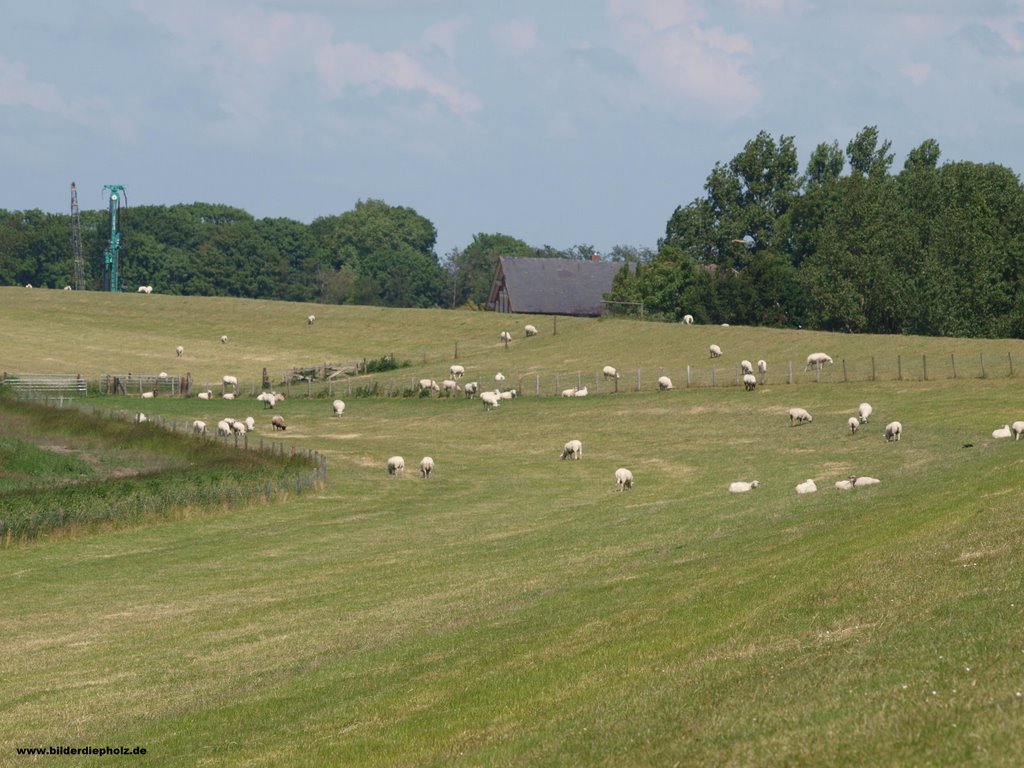 Süderschweiburg by Anhees