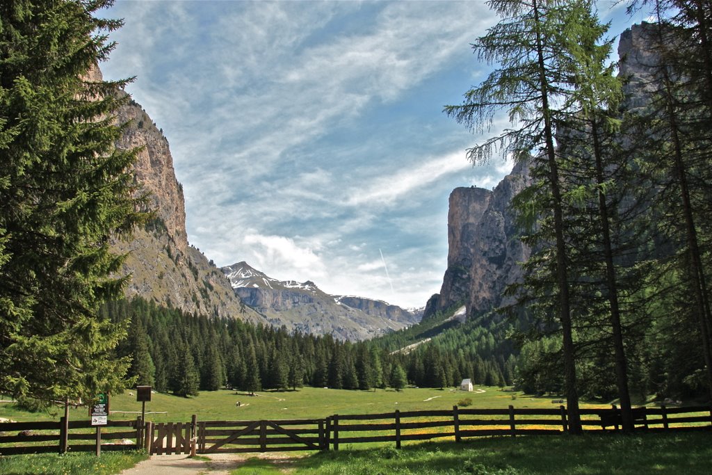 Green valley by Lucio sassi