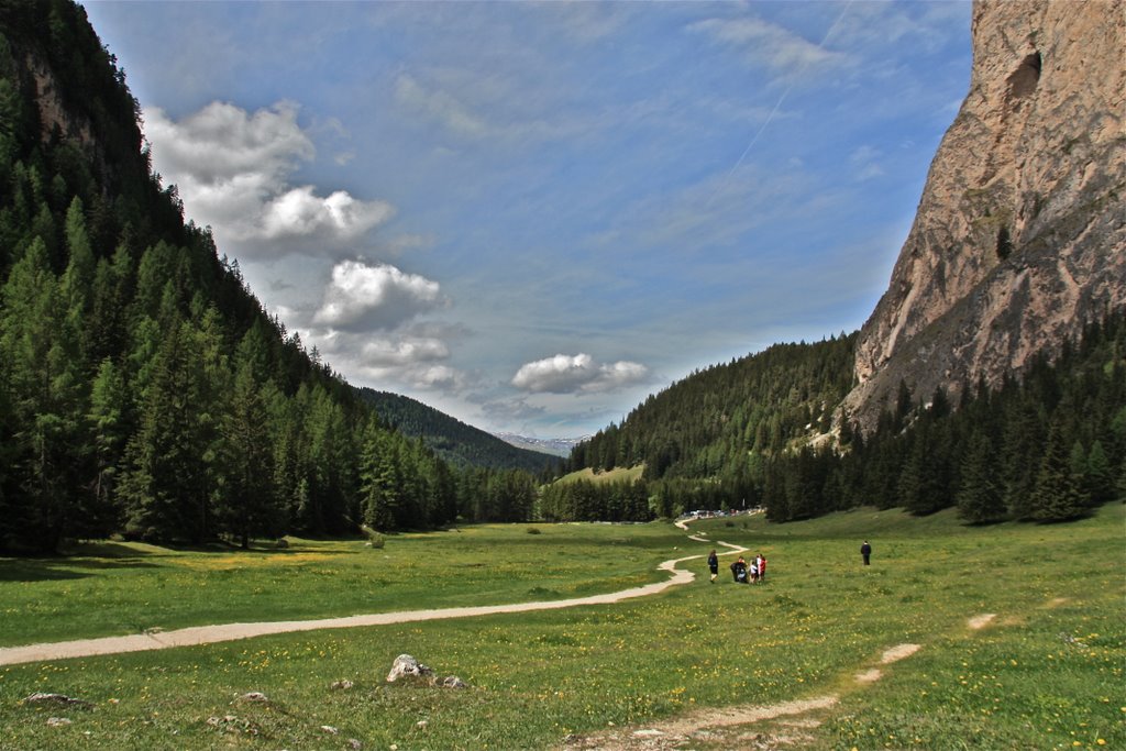 Green valley 2 by Lucio sassi