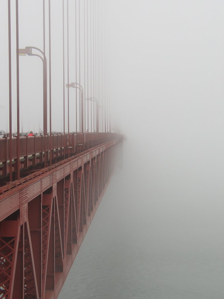 Golden gate! by vero71