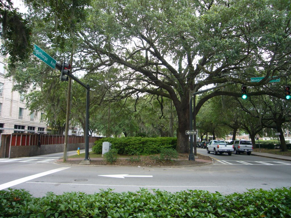 Historic District - North, Savannah, GA 31401, USA by clbaber