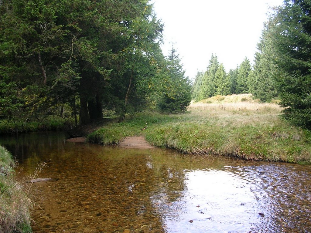 Harz, "Kalte Bode" beim Aufstieg zum Brocken von Schierke aus, Oktober 2008 by MRohleder