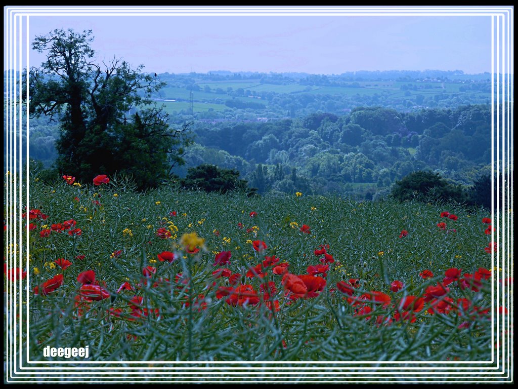 **..The Moss Valley... South Sheffield..** by david g Johnson