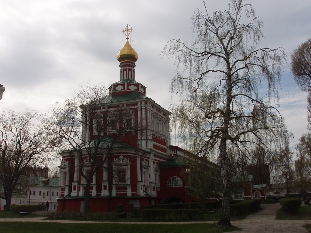 Novodevichy Monastery by Mario Trieste