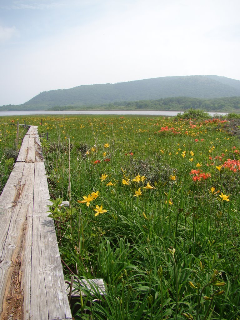 Oguni-numa shitsugen (Oguni-numa wetlands) by mizug