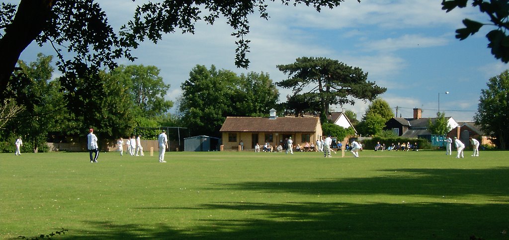 Takeley Cricket by alwyncooper