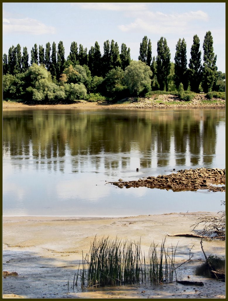 La Loire à Nantes, 13 juin 2009. (1/2) by Pom-Panoramio? YES !