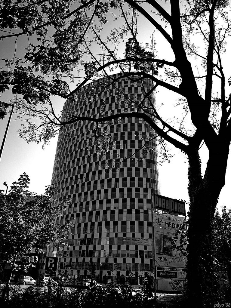 Zagrebtower b/w by payo_punk