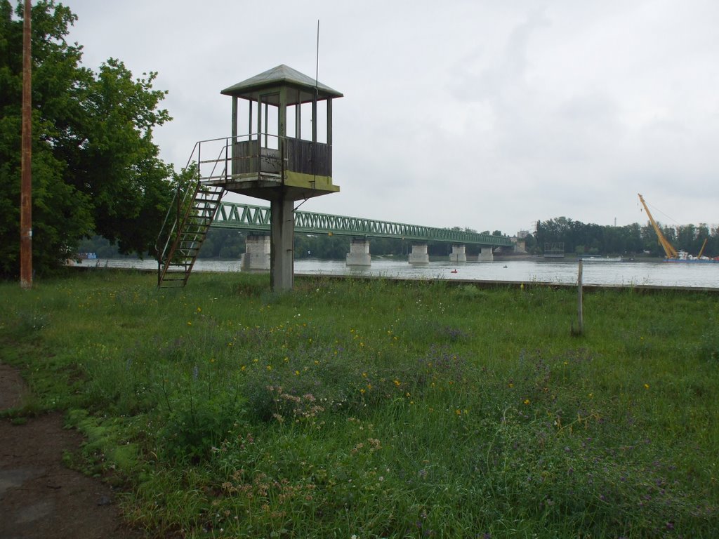 A volt Óbudai Gázgyár területén,a vasúti hídfő közelében,2009 június 23-án by Vastalicska