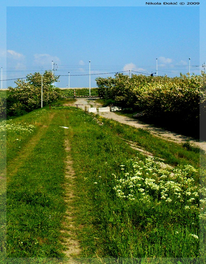 Pancevacki Most / Nasip / Green Field by dzonihsv