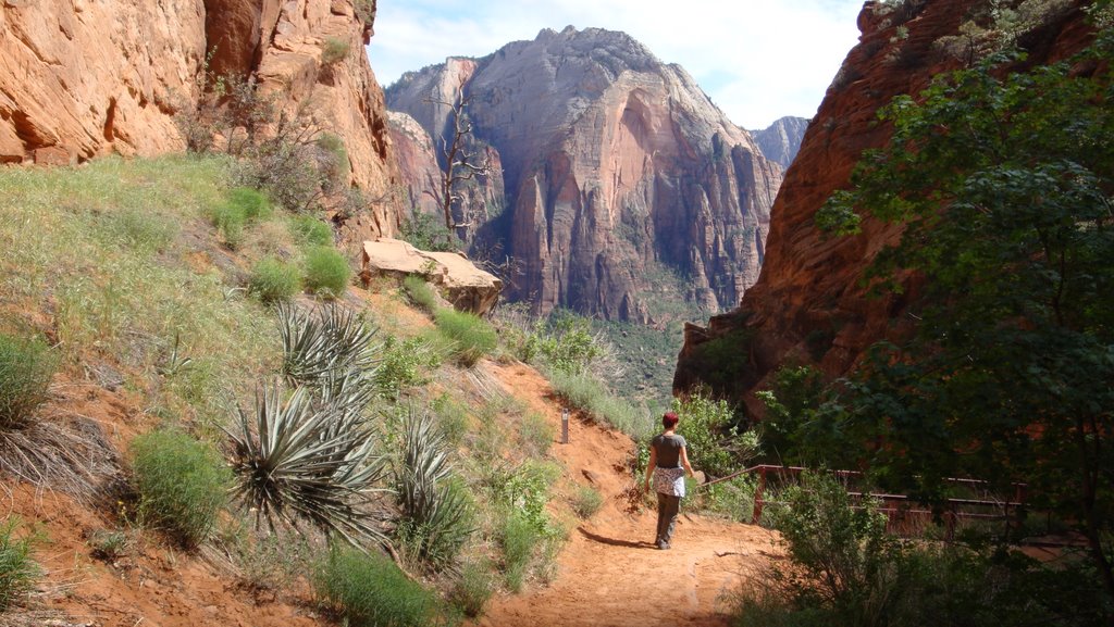 Zion NP: Angels Landing 09 by mbemmen