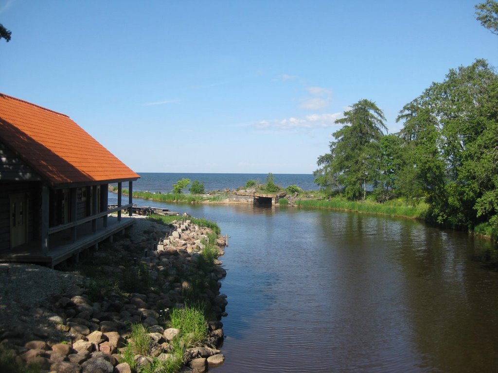 Park Tojla. Gulf of Finland. by Horovod