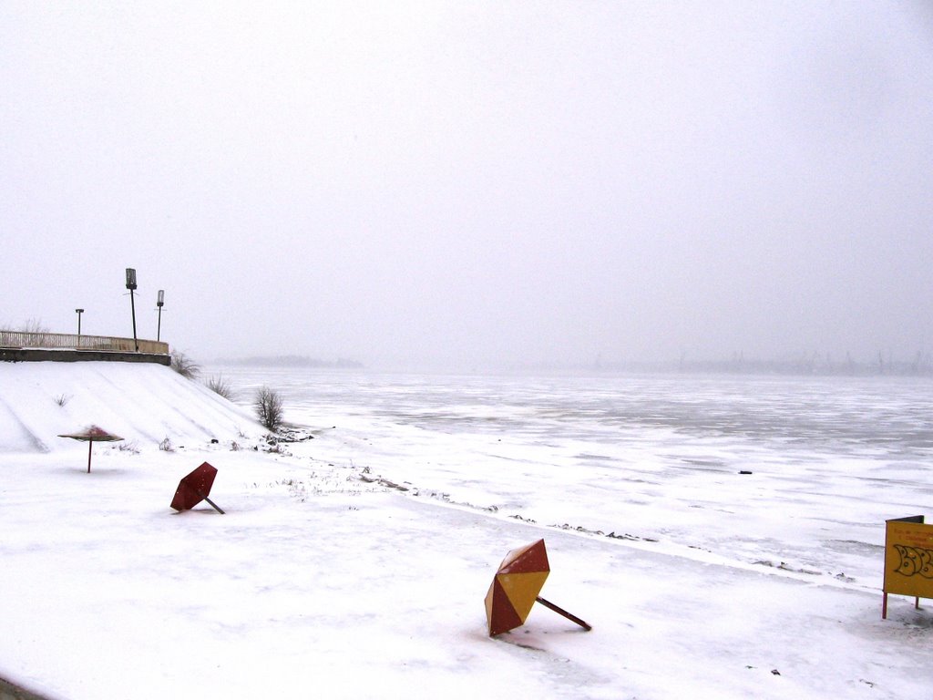 #159 Winter mushrooms...Ukraine... by FWWS!