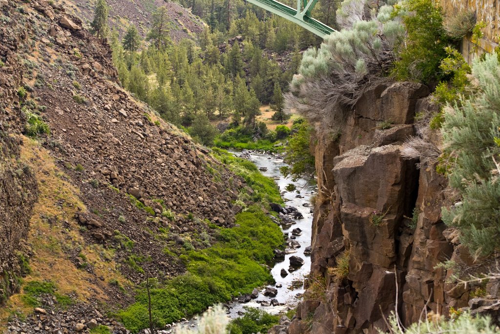 Looking under the old US97 Bridge by kruben