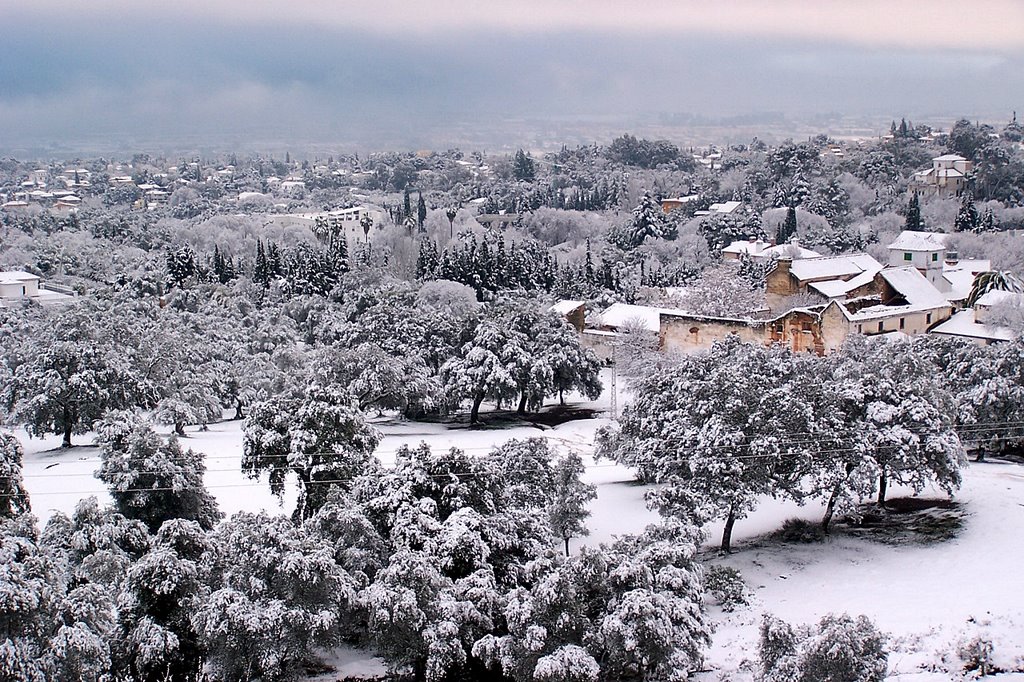 Córdoba nevada by Jose Luis Ogea