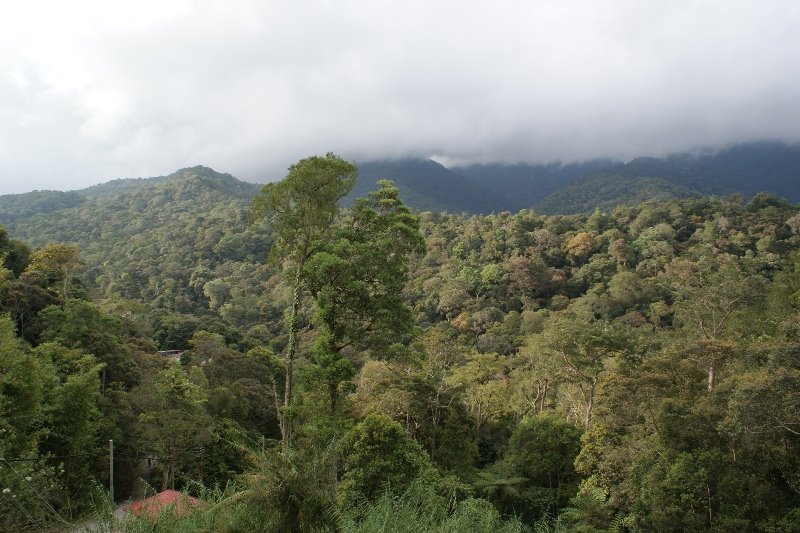 Viewing from KUNDASANG MEMORIAL WAR - SABAH by mohd salim yunus