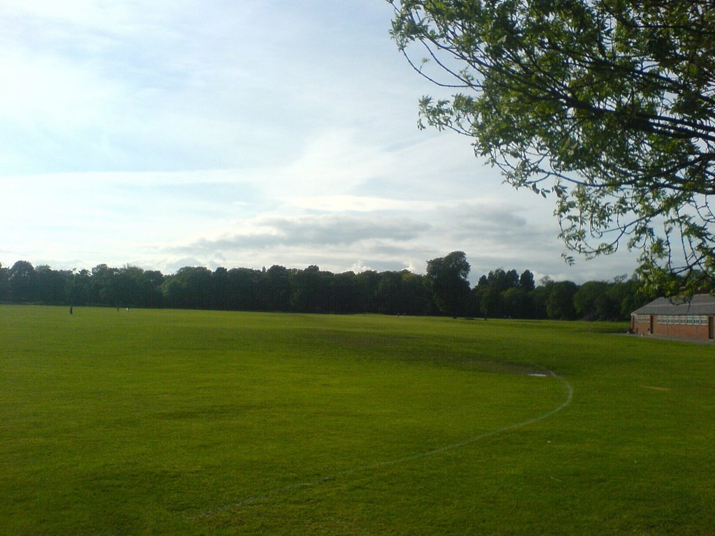 Bute park by Allen Xie