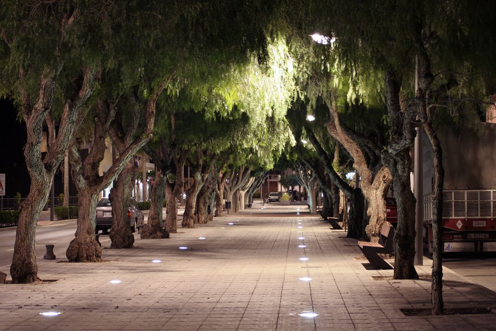 Avenida de la Naturaleza by M.Cara