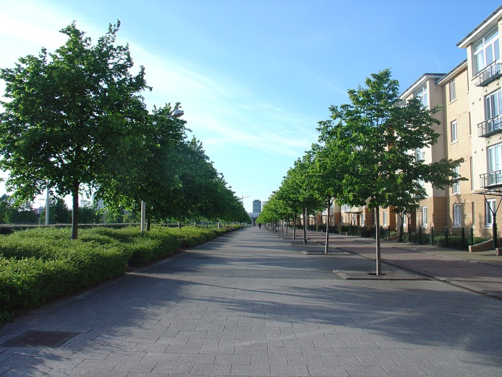 Road to cardiff bay by Allen Xie