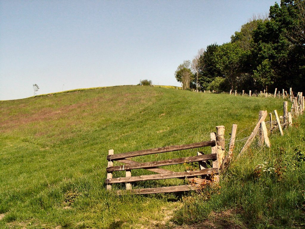 Im Tal der Langballigau by Walter Gmeinwieser