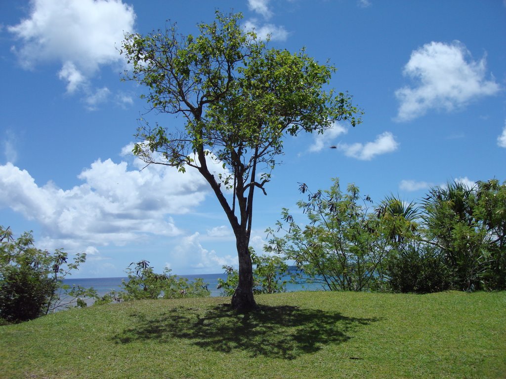 Lonely tree on a hill at Ga'an Point by ChiefinGuam