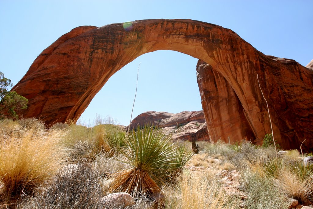 Rainbow Bridge National Monument, Lake Powell by Toddflicks