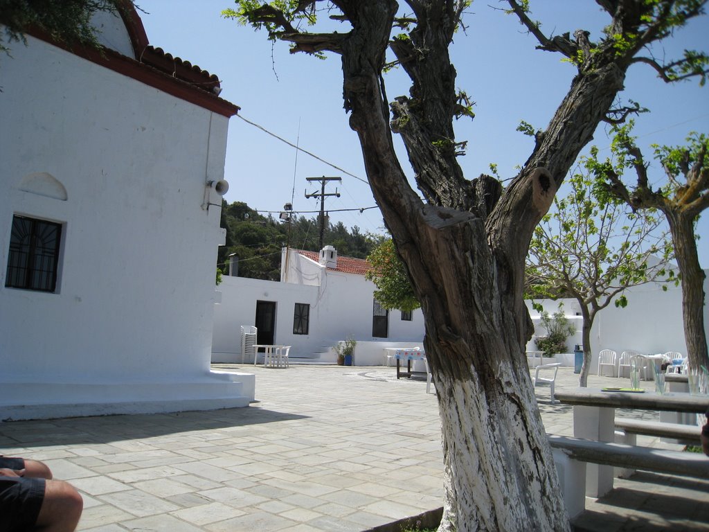 Orange tree on a square, Rhodos by dibbes1993