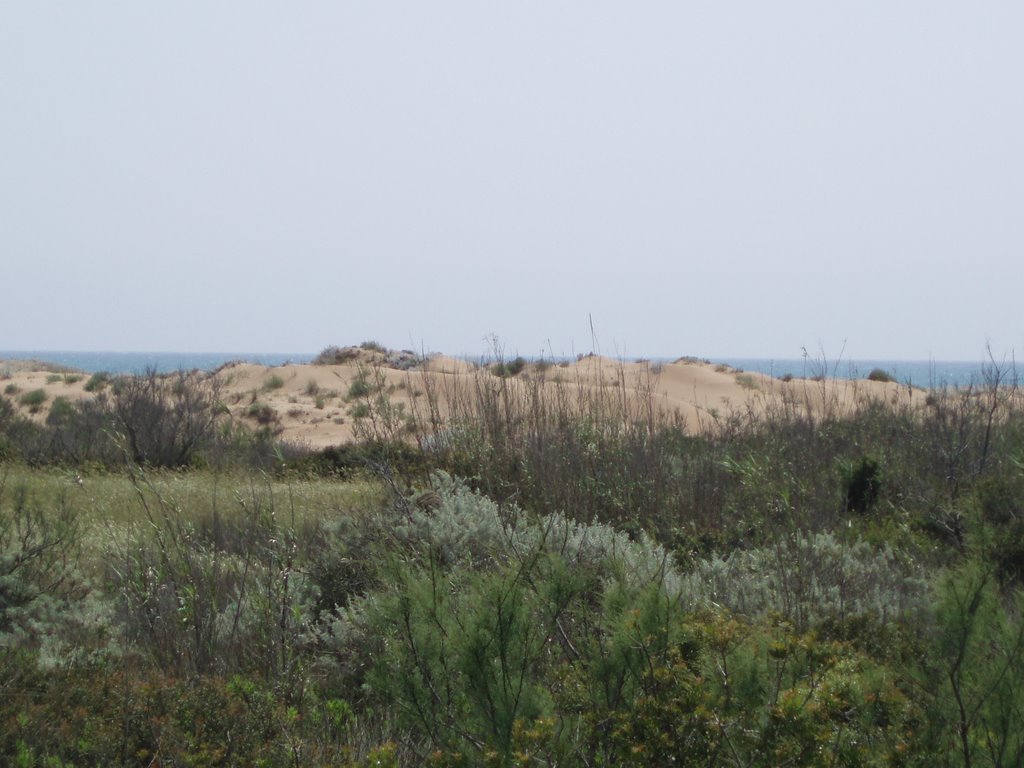 SELINUNTE dune sabbiose presso la costa by ferdonio