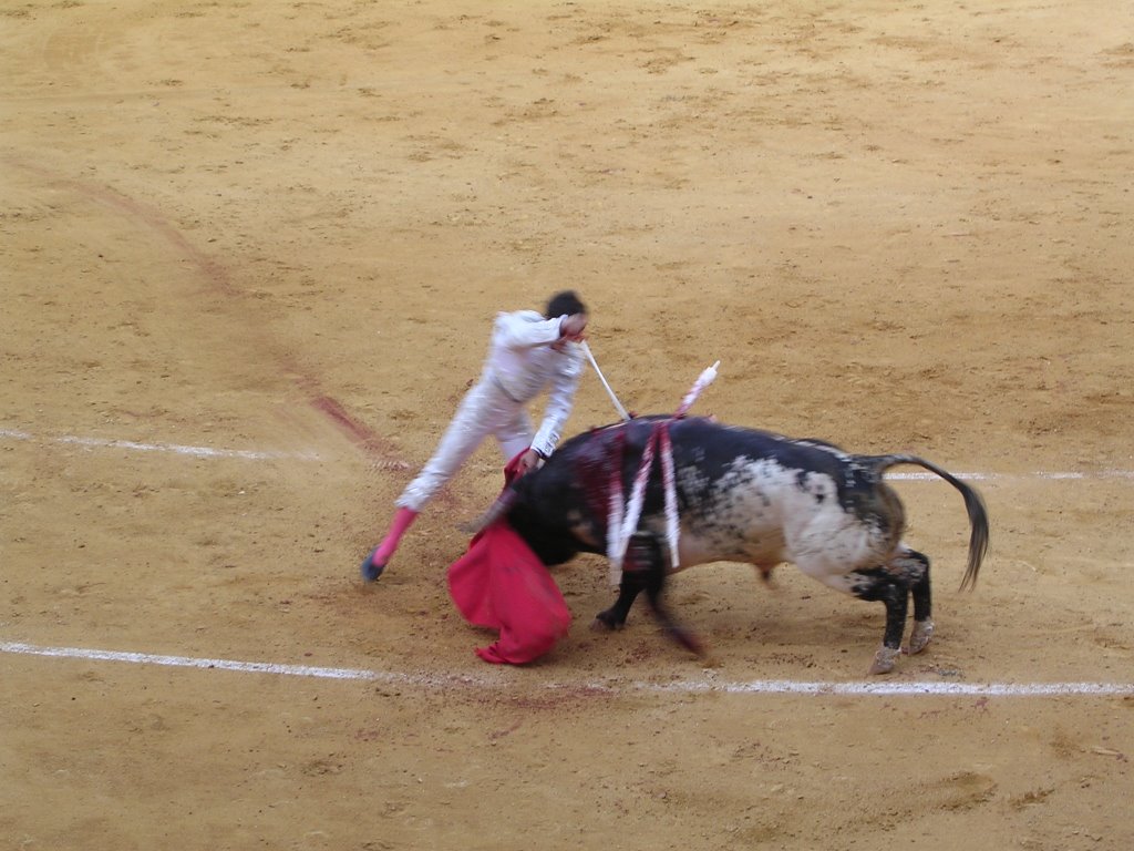 Corrida de toros-Abellán by Quino Cascorro