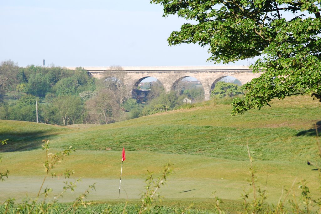 Newton Cap Viaduct by Blame Me