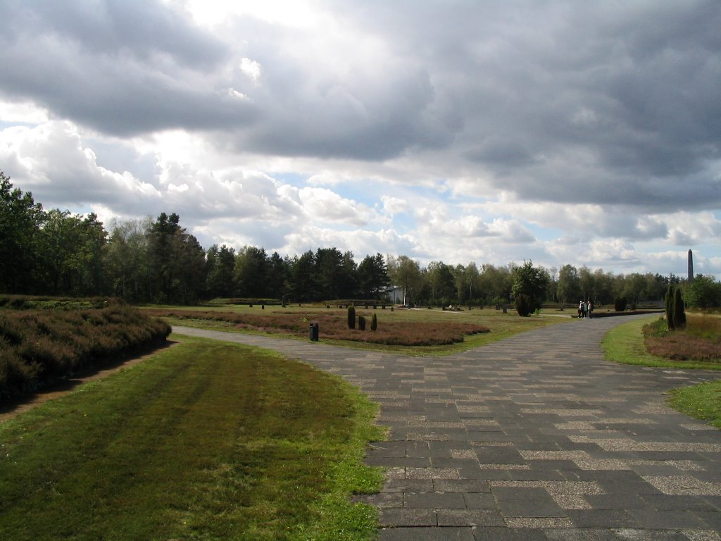 Lohheide, Germany by harrie/geertje