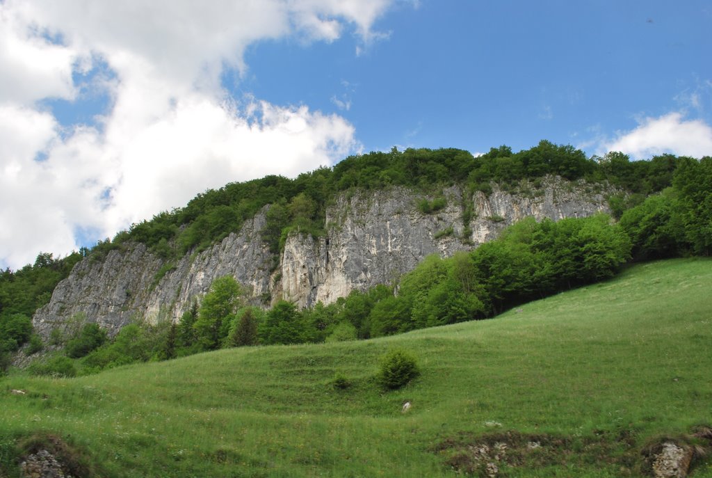 Dambovicioara Gorge by freelancevoyager