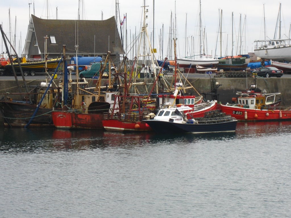 Boats Docked at Howth Harbour by Brian Mooney