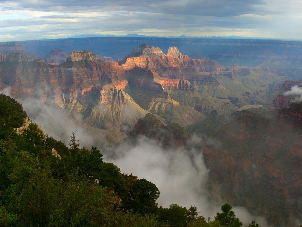 North Rim of Grand Canyon by jeff@reaswest.com