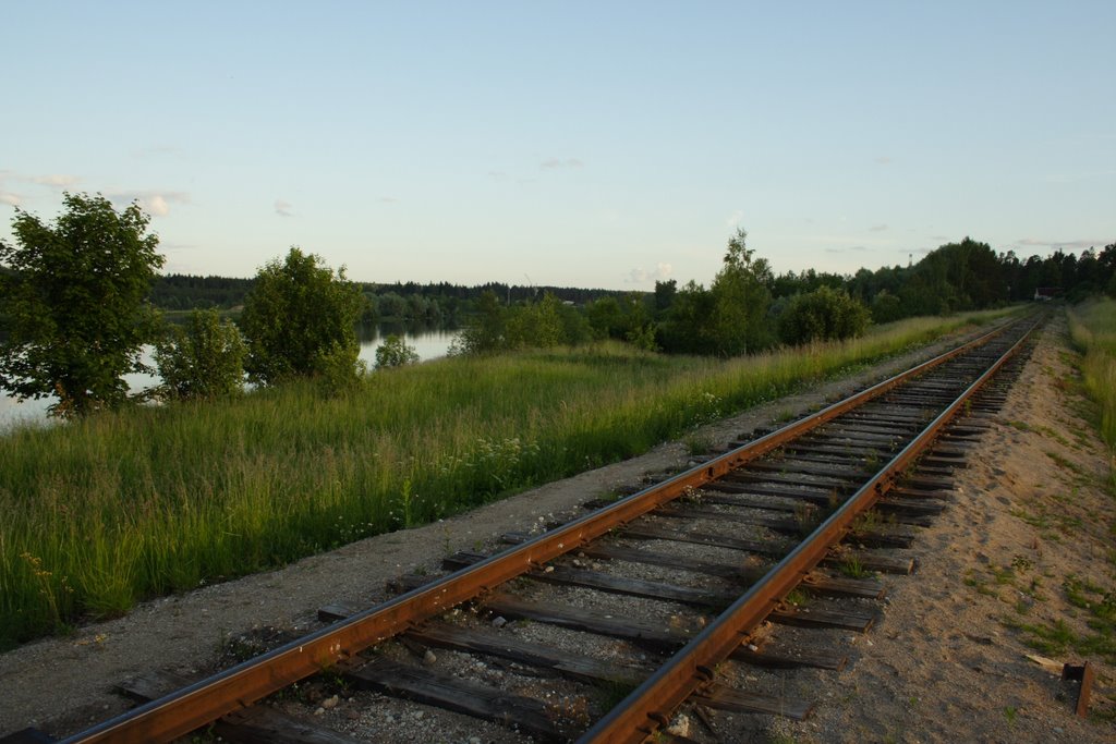 Sliedes pie Madonas karjiera (rail near Madona gravel-pit) [2009.06.20] by Uldis Masulevičs (LV…