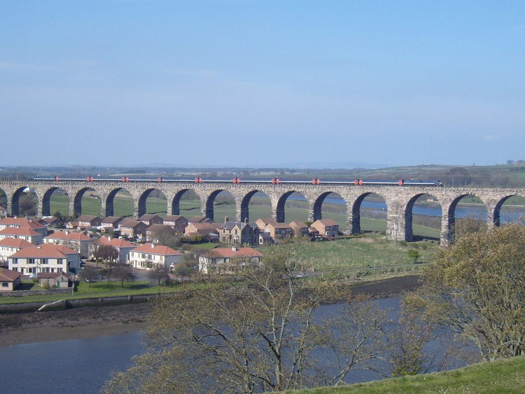 Royal Border bridge, Berwick by jeffrey-kellett