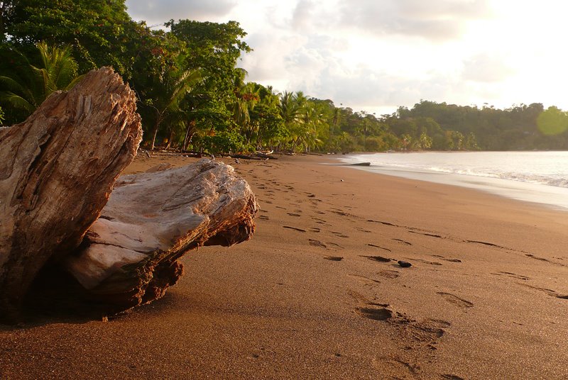 Bahia Drake by Louis-Michel Désert