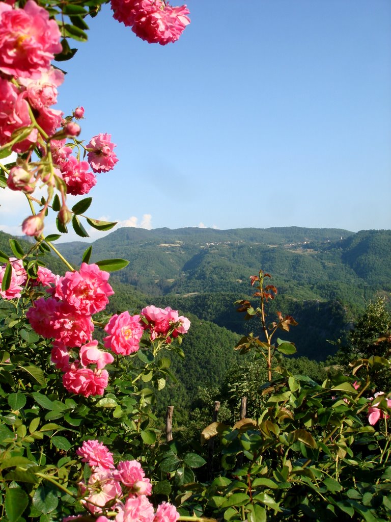 Da Brugnello ( PC ), lo sguardo abbraccia il paesaggio verde! by effeelle