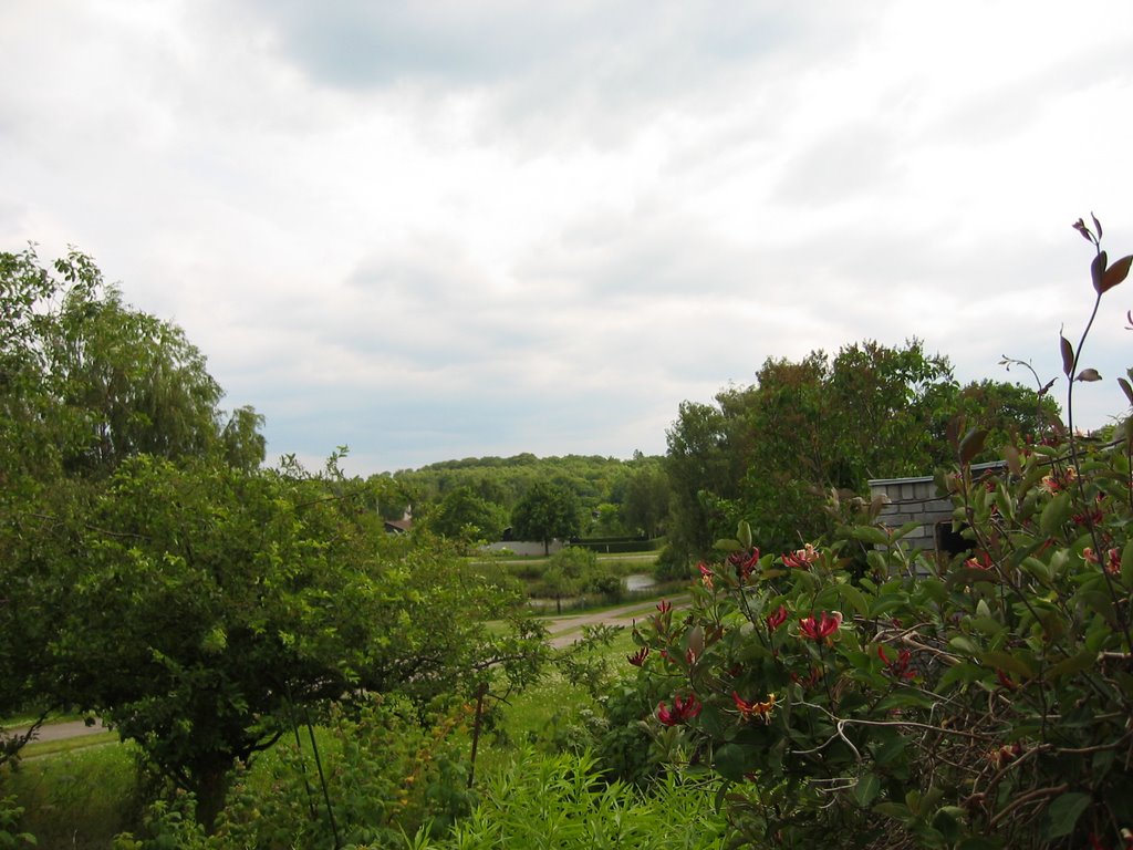 The southview from my house by Thomas Ahlmann-Ohlsen