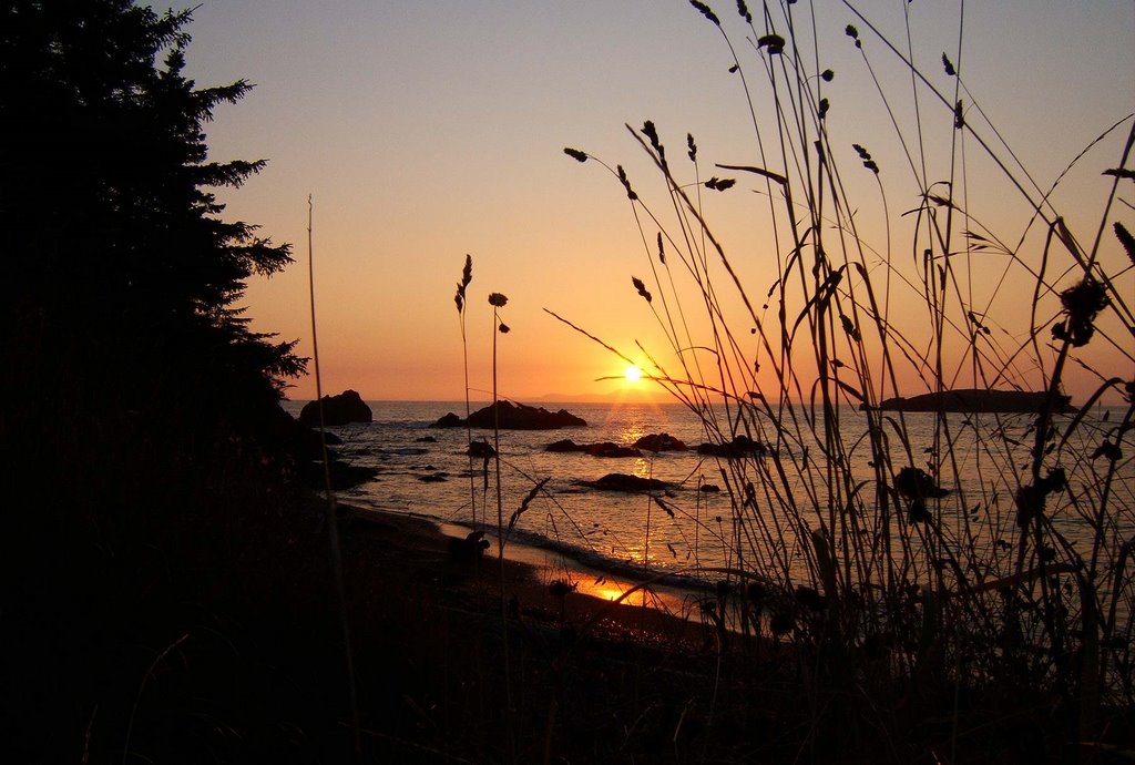 Rosario Beach, Deception Pass State Park, Washington by Jon Gibson