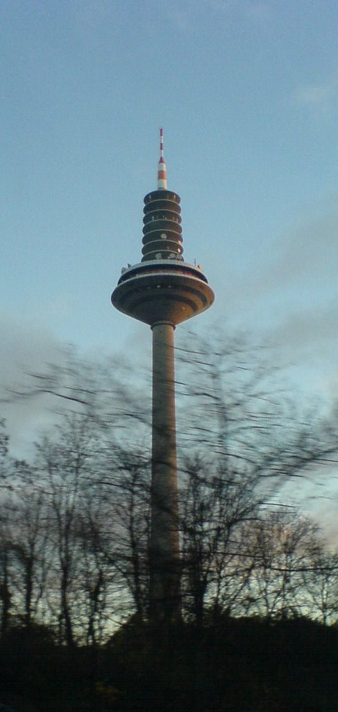 Der Europaturm by Martin Weller