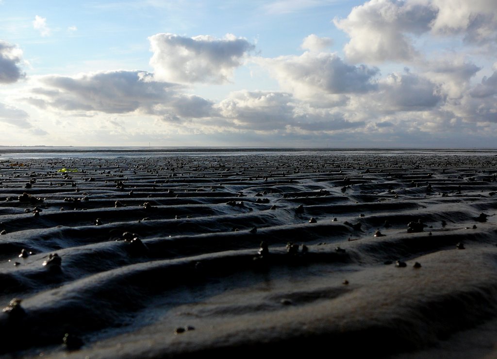 Blick über das Sahlenburger Wattenmeer bei Ebbe by M.Böcherer